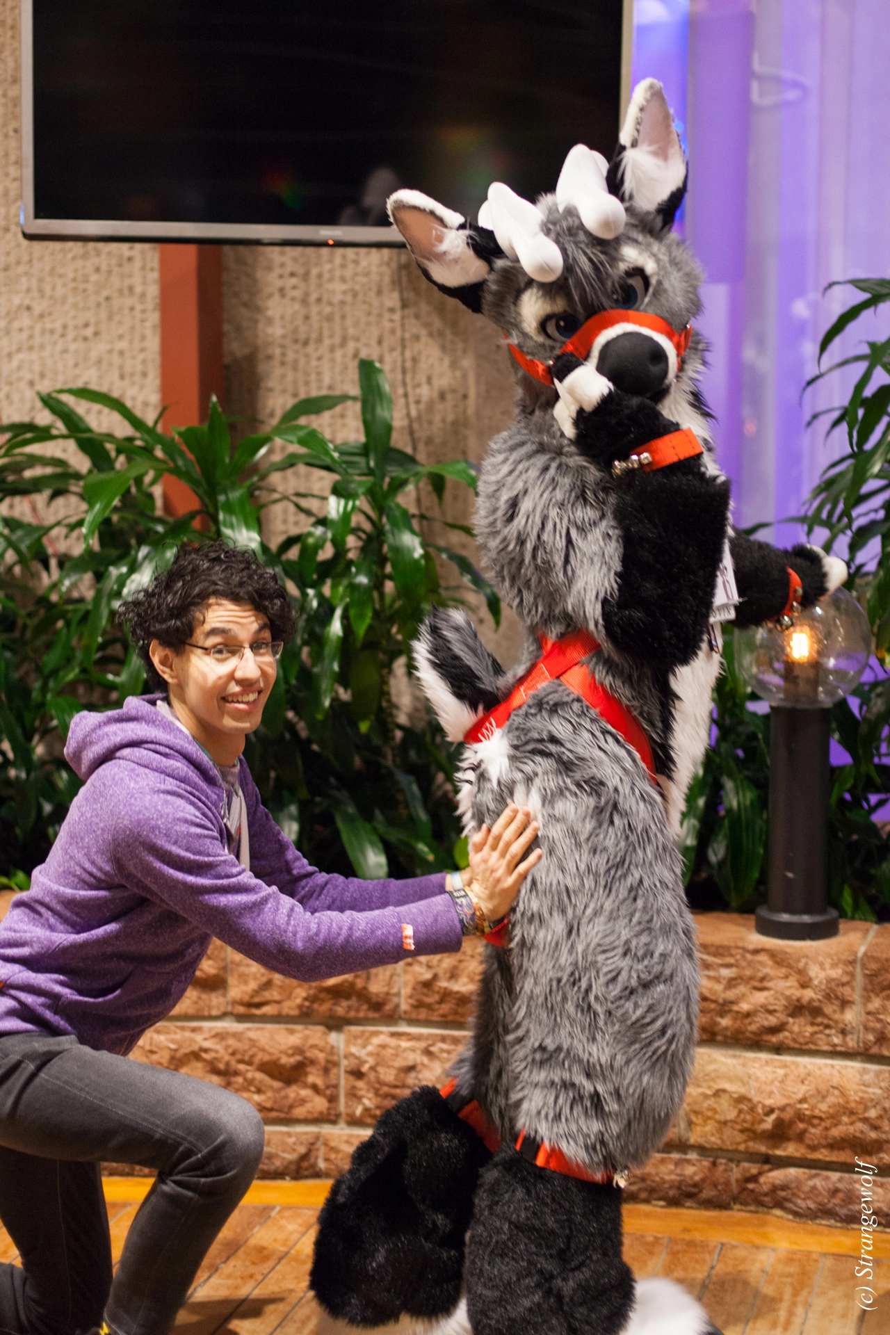 full image IMG_9261-lr19t.jpg