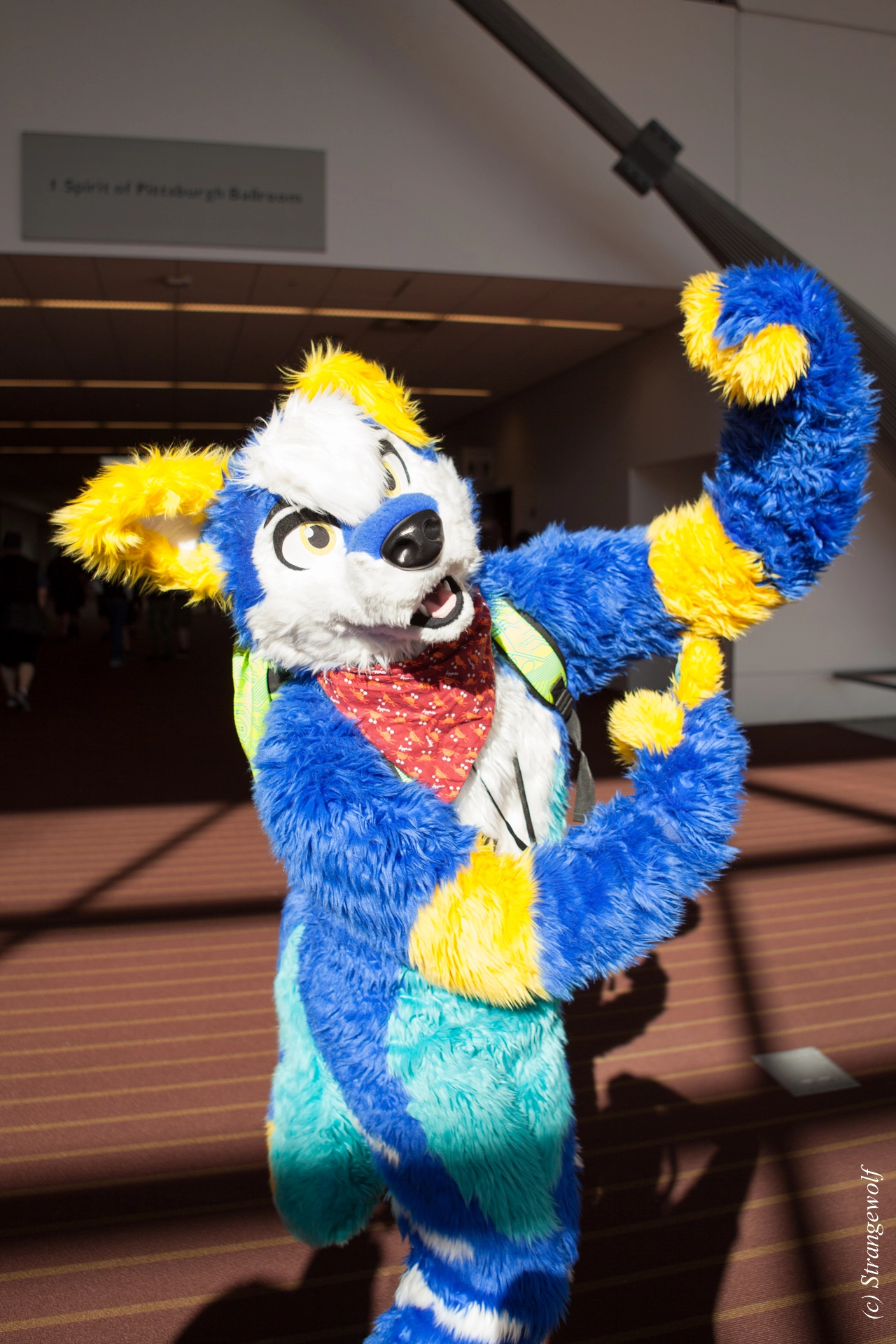 full image IMG_4362-lr19t.jpg