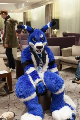 IMG_7334-lr16t.jpg of CFZ/CFZ2016/