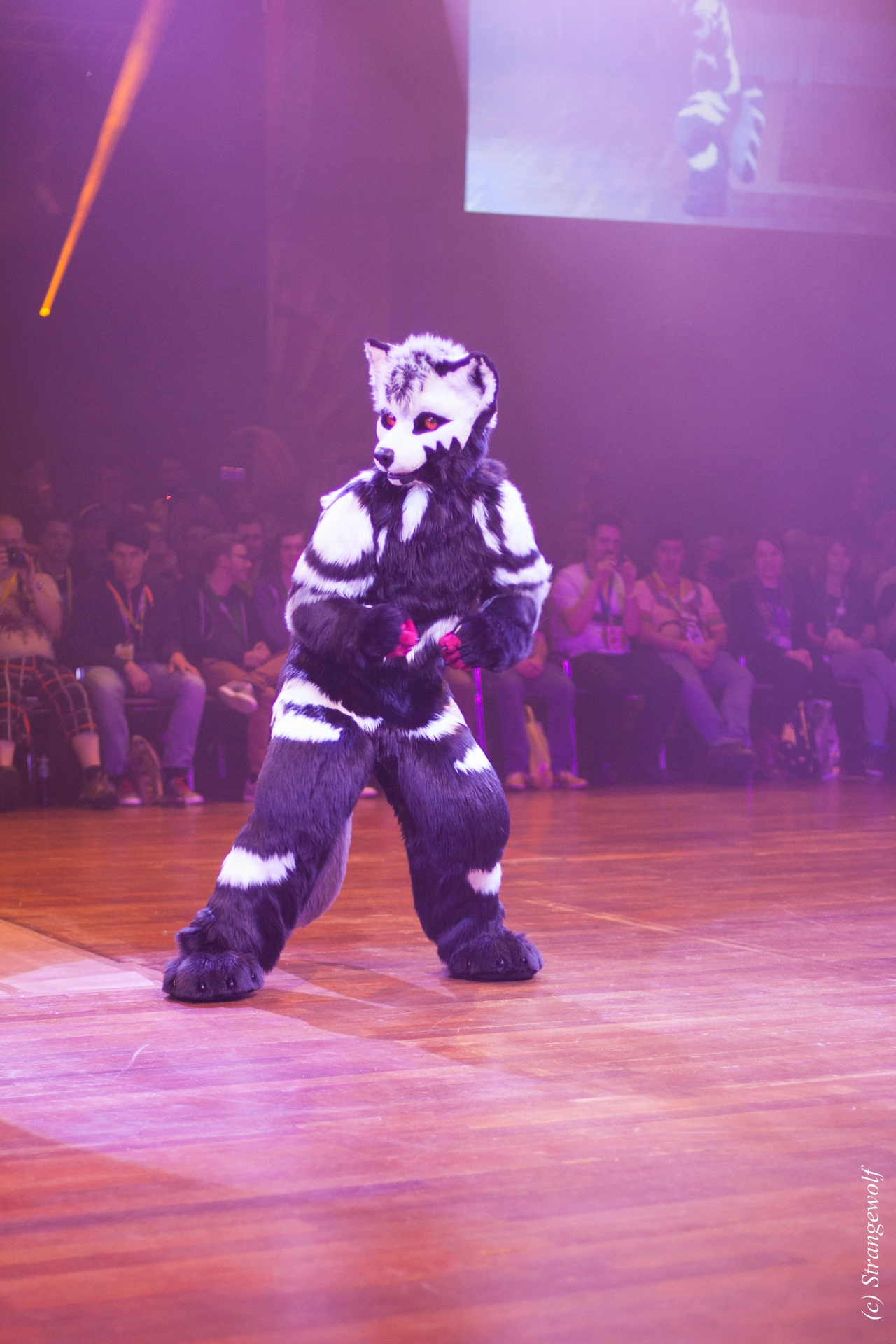 full image IMG_6534-lr19t.jpg