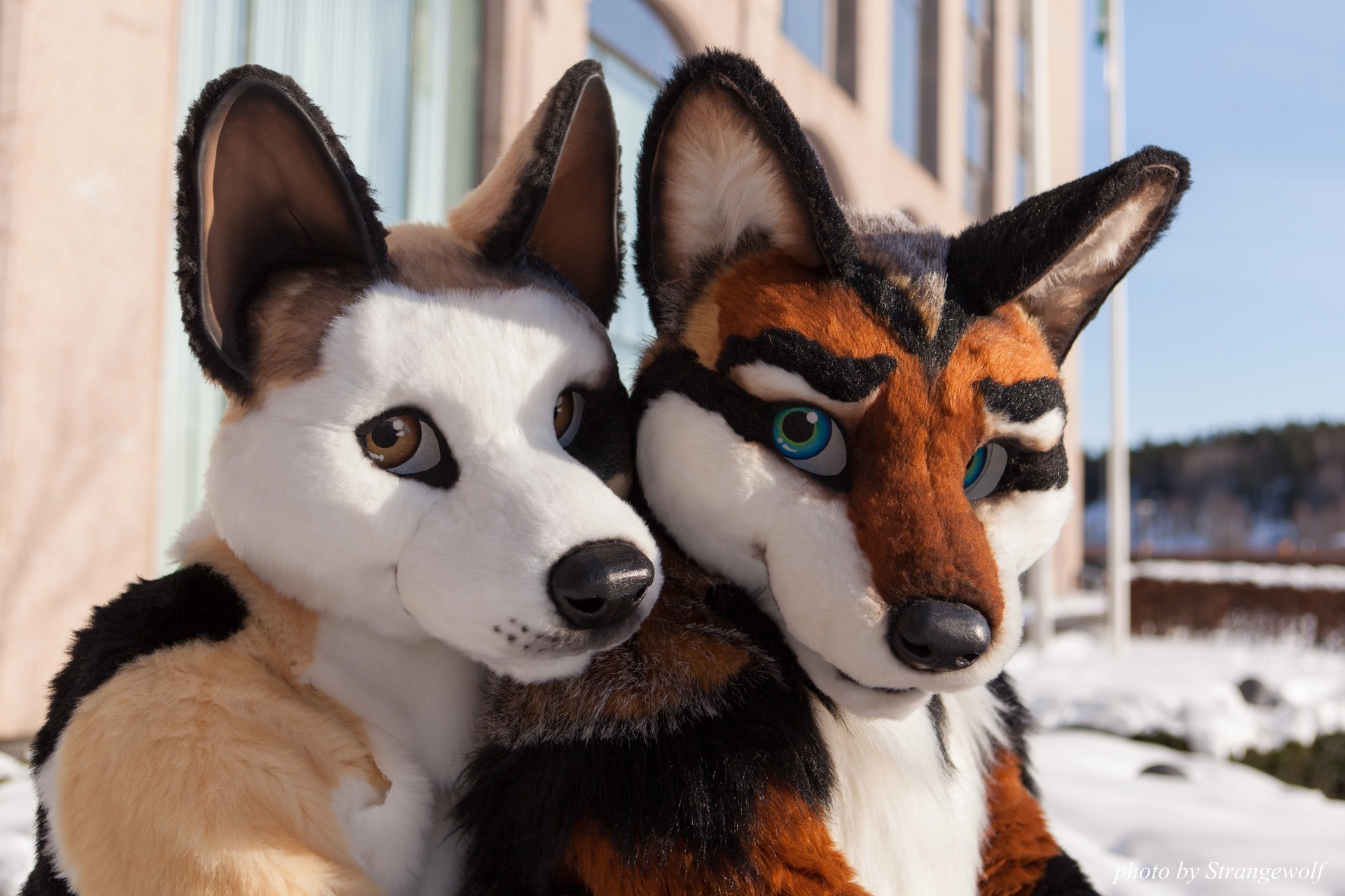 full image IMG_0086-lr19t.jpg