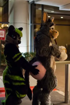 IMG_6582-lr19t.jpg of MFF/MFF2015/