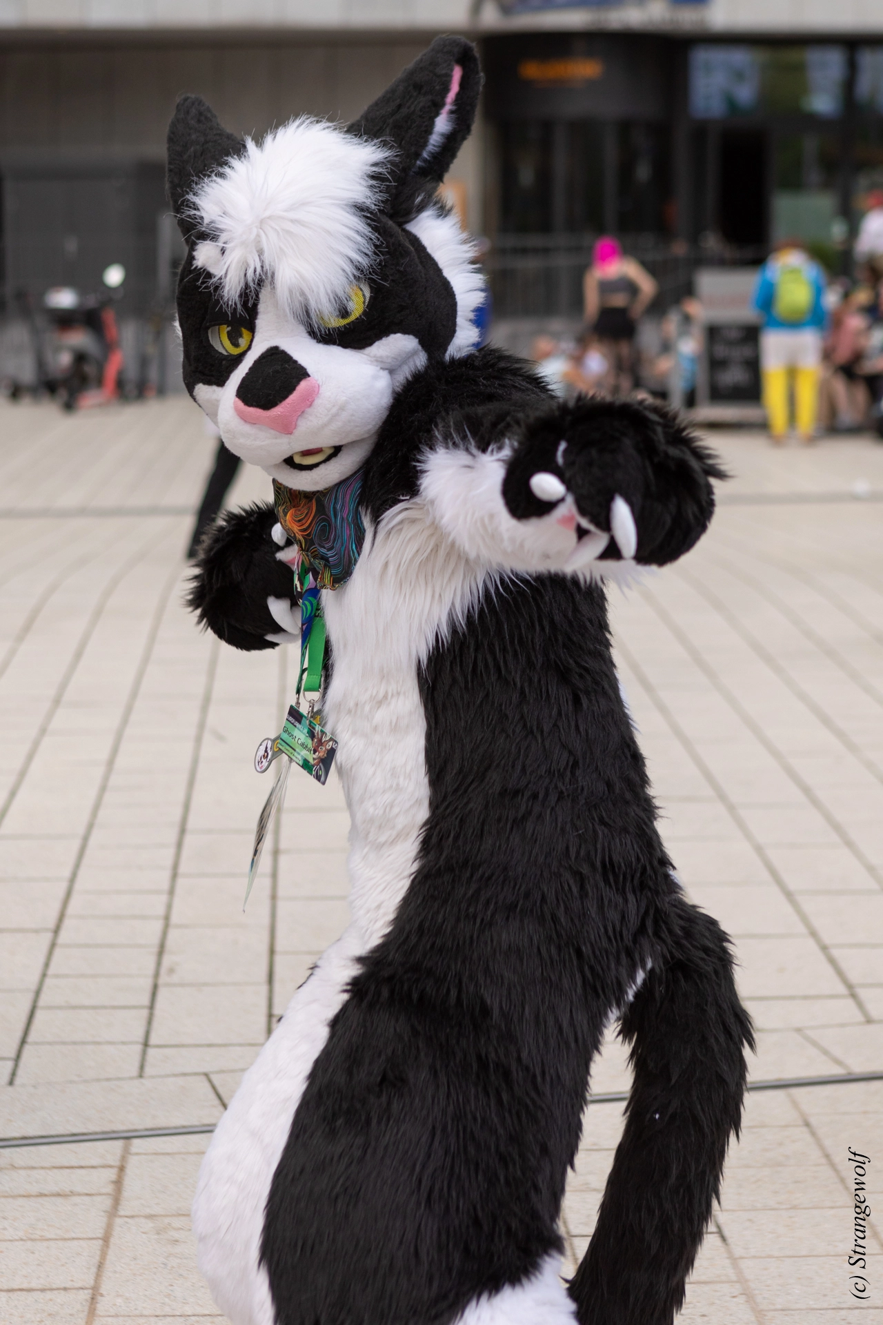 full image 1R3A9187-lr19t.jpg