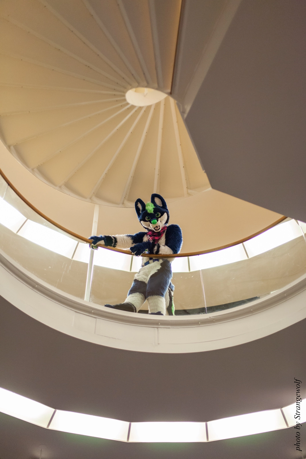 full image IMG_1886-lr16t.jpg