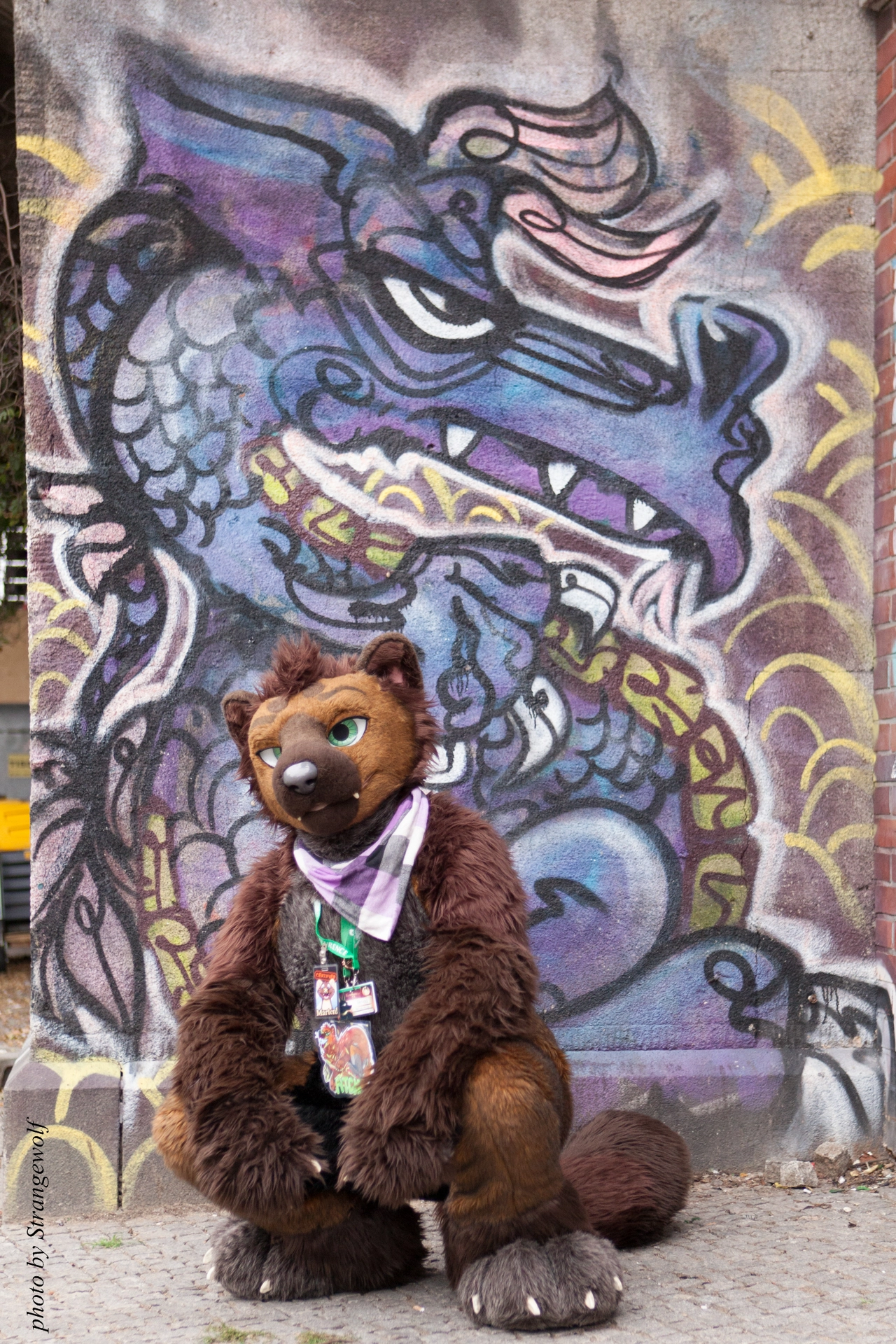 full image IMG_6783-lr19t-2.jpg