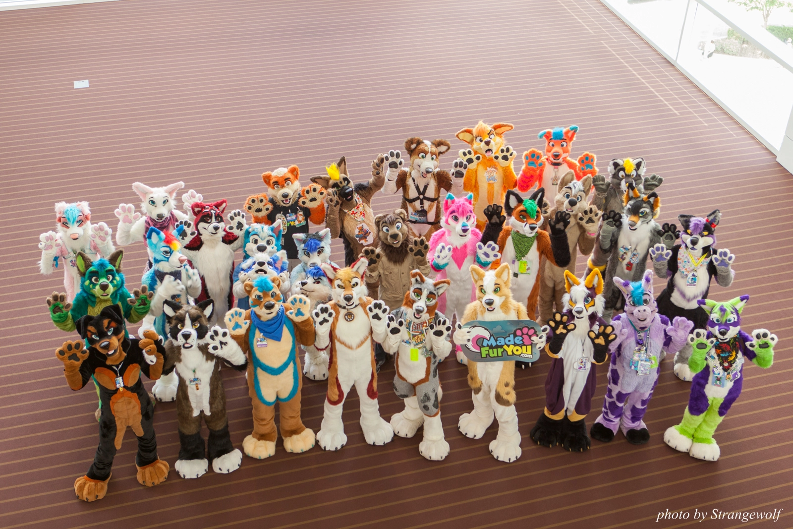 full image IMG_4101-lr16t.jpg