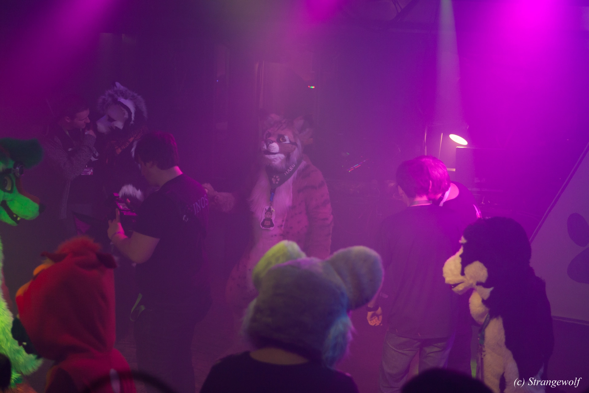 full image IMG_0767-lr19t.jpg