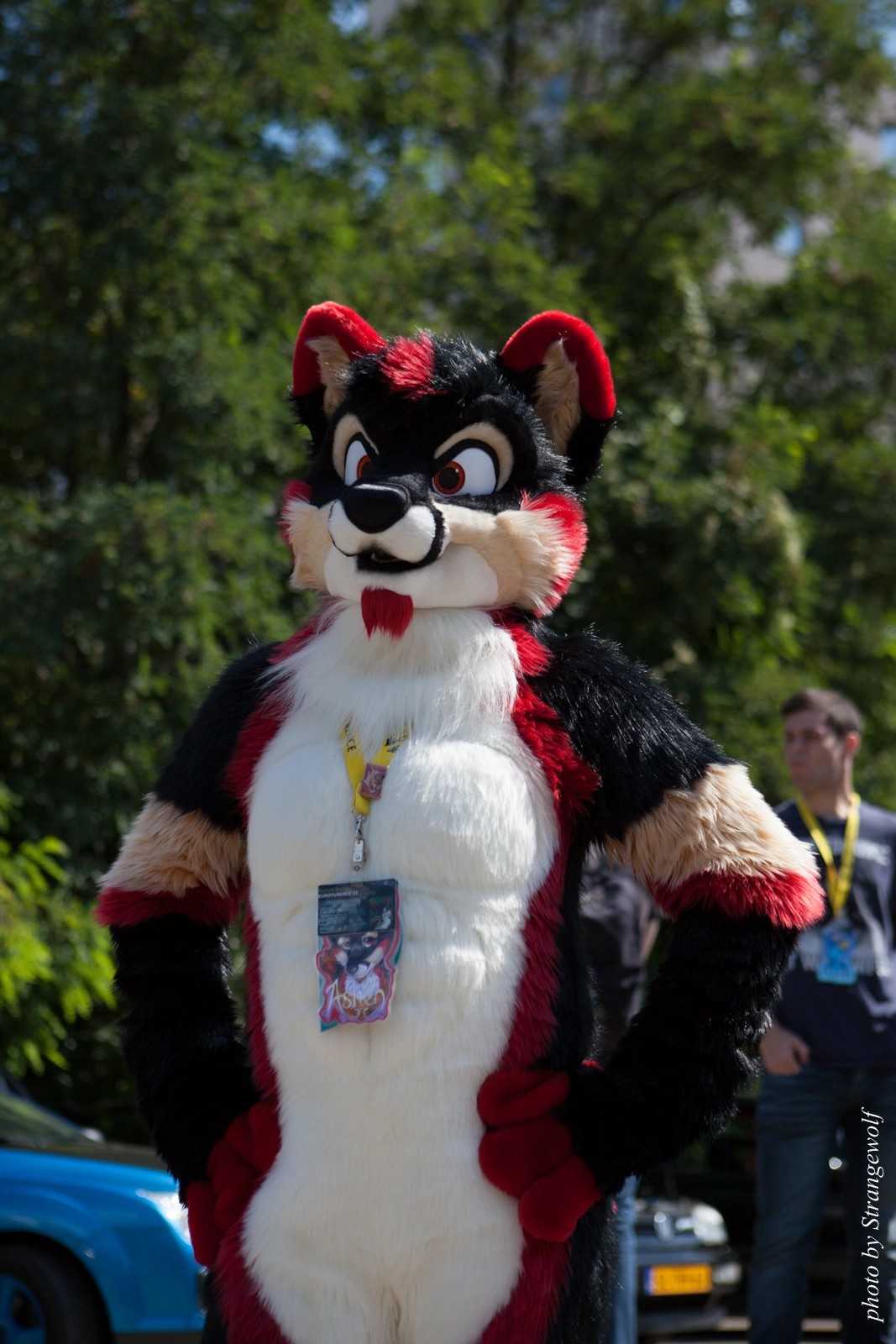 full image IMG_2280-lr16t.jpg