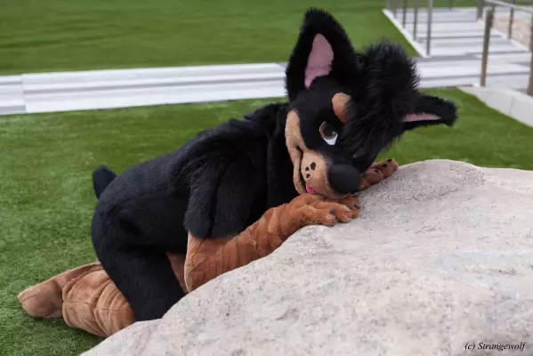 IMG_2986-lr.jpg of BLFC/2018/