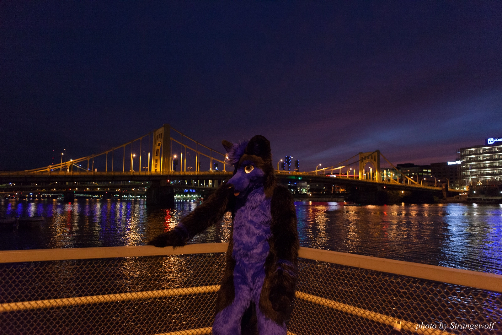 full image IMG_8444-lr16t.jpg