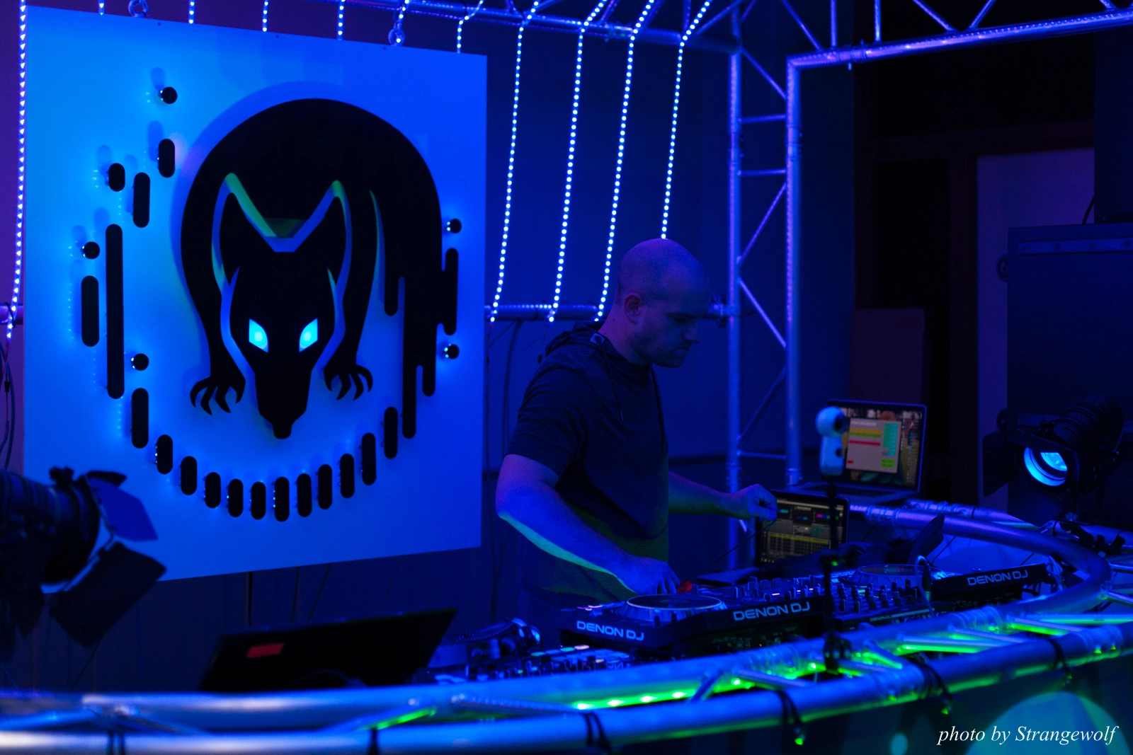 full image IMG_5301-lr16t.jpg