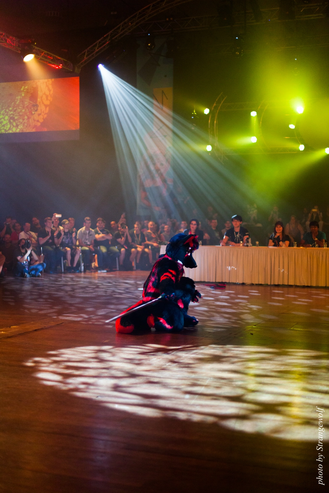 full image IMG_9185-lr16t.jpg