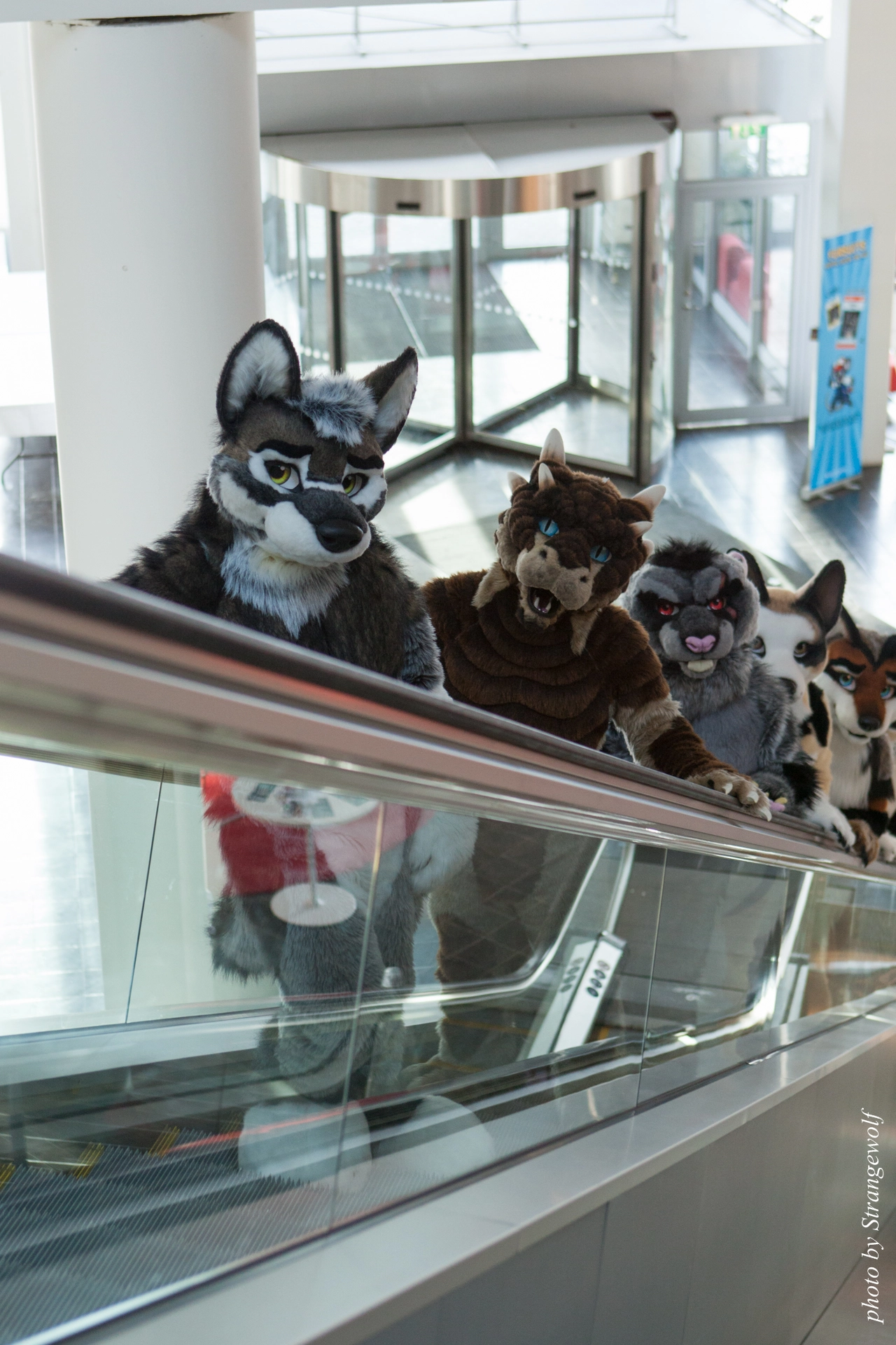 full image IMG_0396-lr19t.jpg