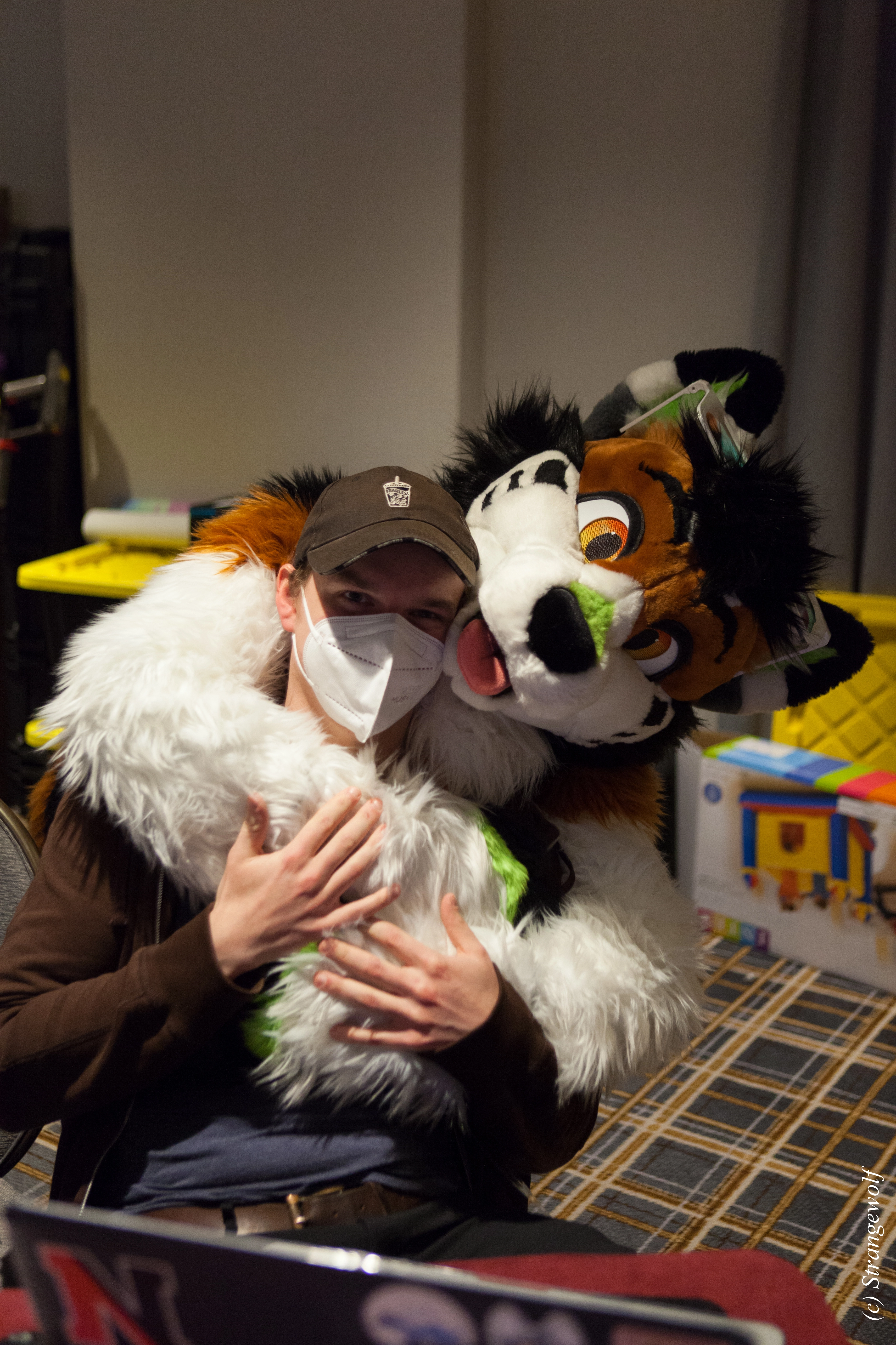 full image IMG_3804-lr.jpg