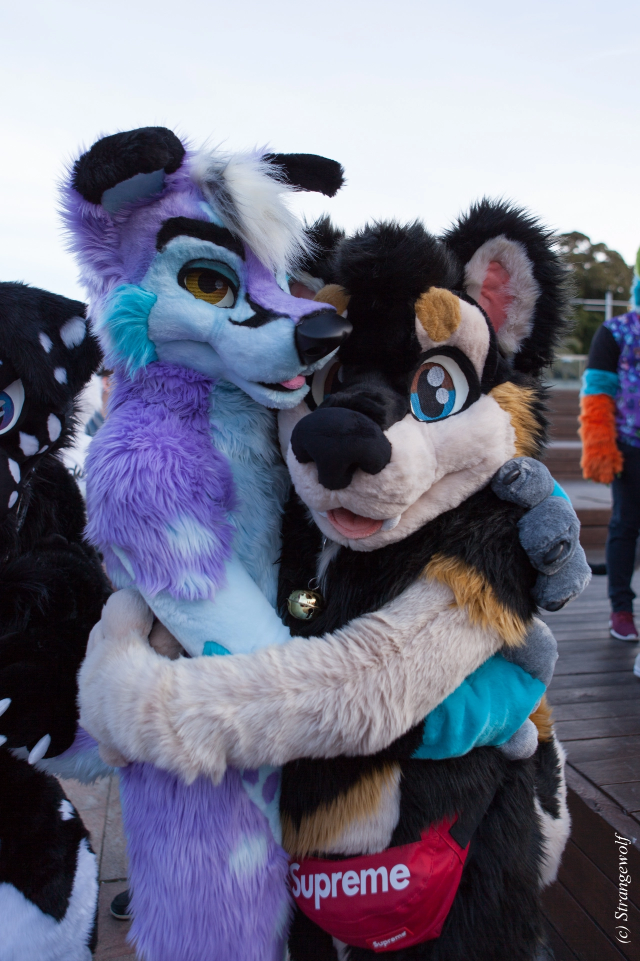 full image IMG_4668-lr19t.jpg