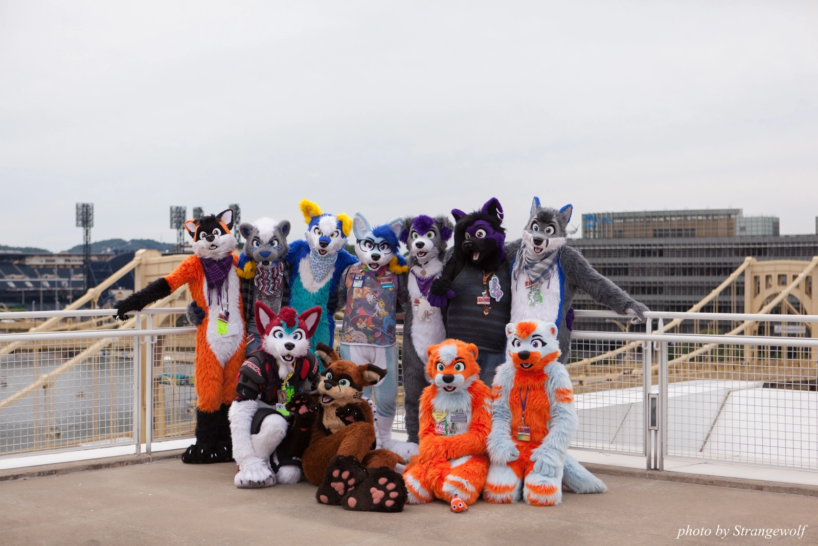 full image IMG_8241-lr16t.jpg