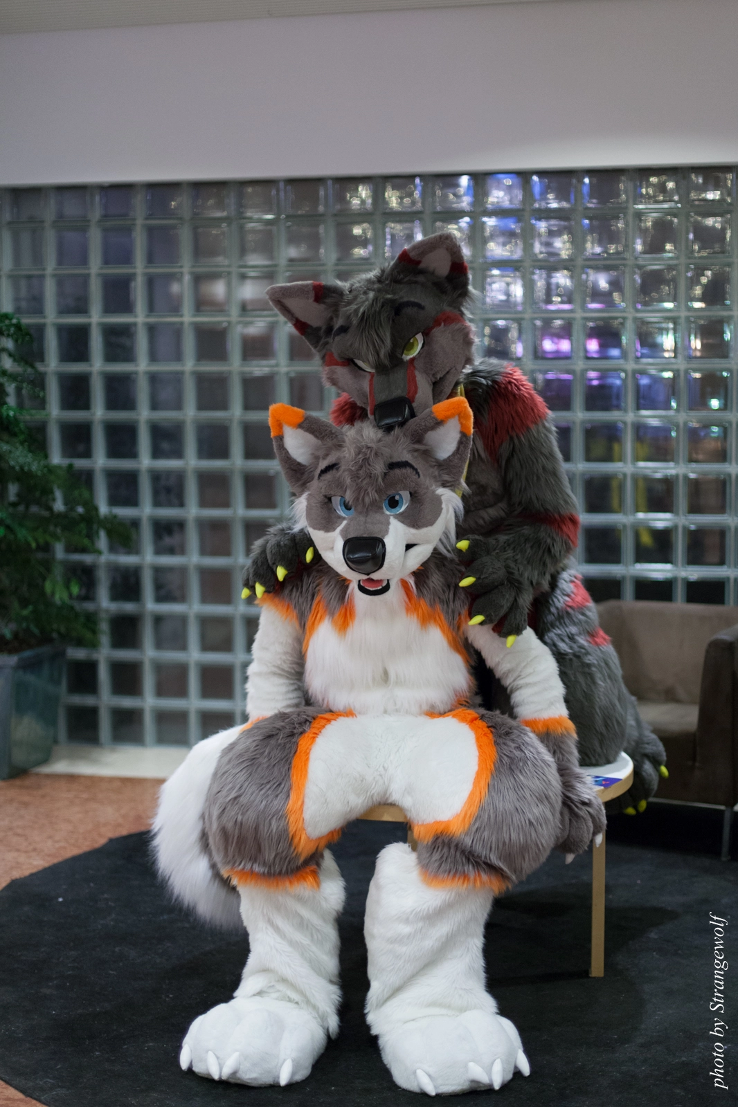 full image IMG_1636-lr16t.jpg