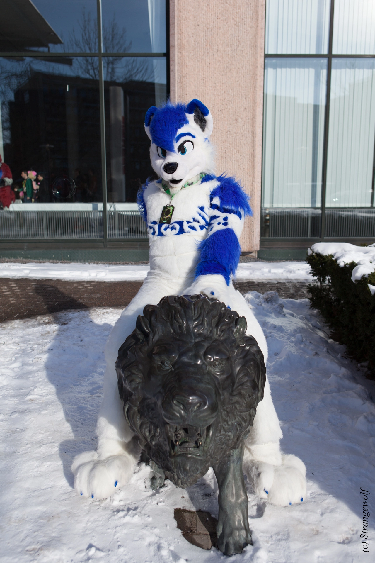 full image IMG_9720-lr19t.jpg