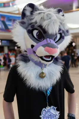 1R3A9042-lr19t.jpg of EF/EF29/