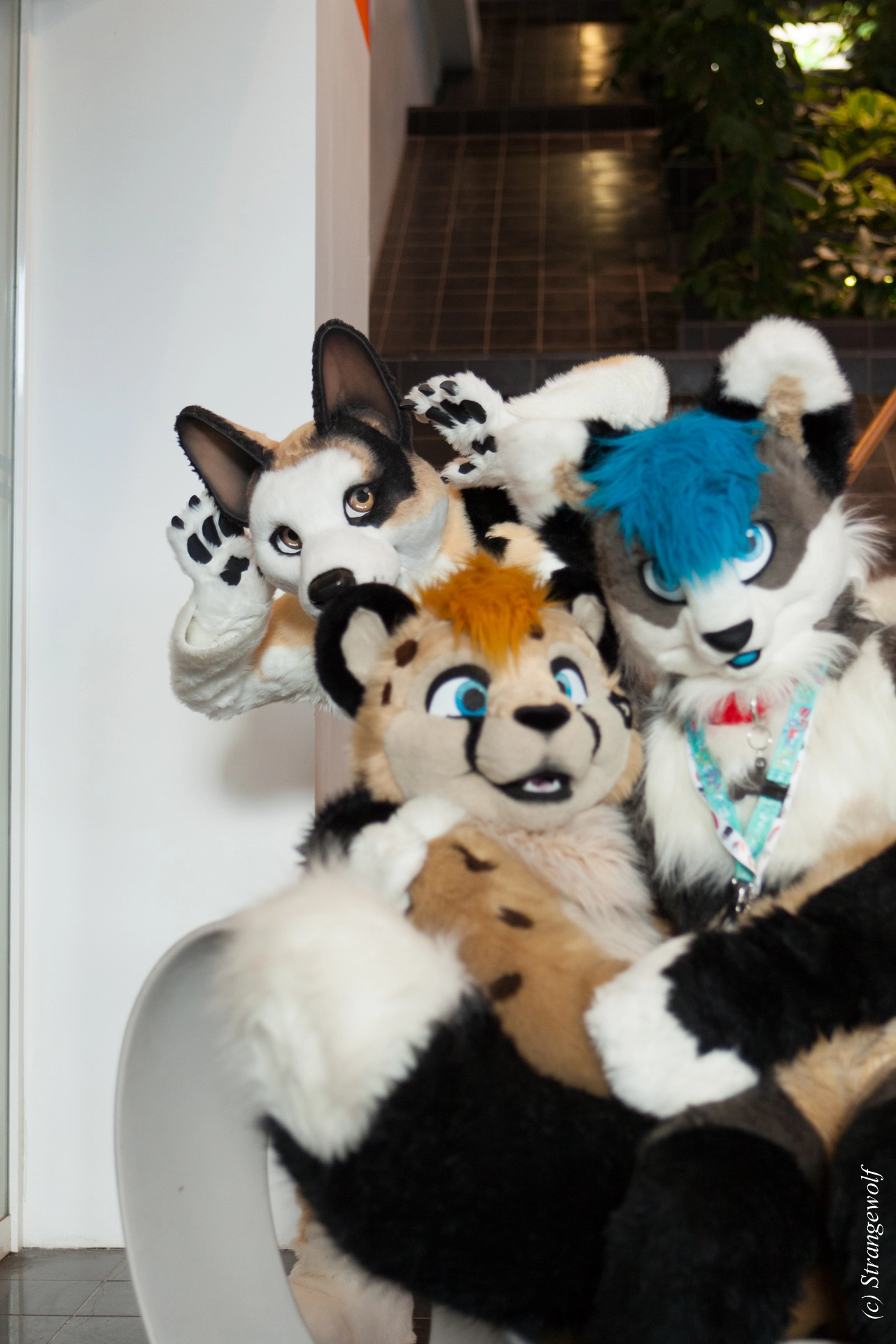 full image IMG_8781-lr19t.jpg