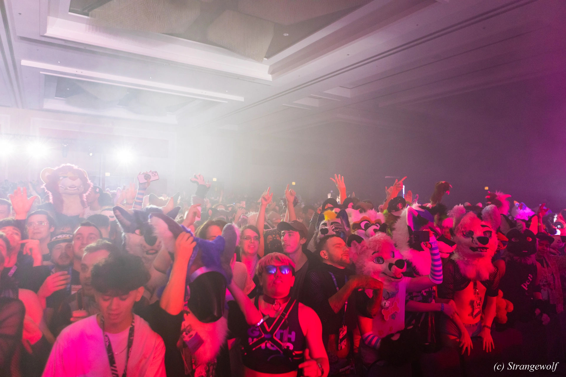 full image 1R3A7217-lr19t.jpg