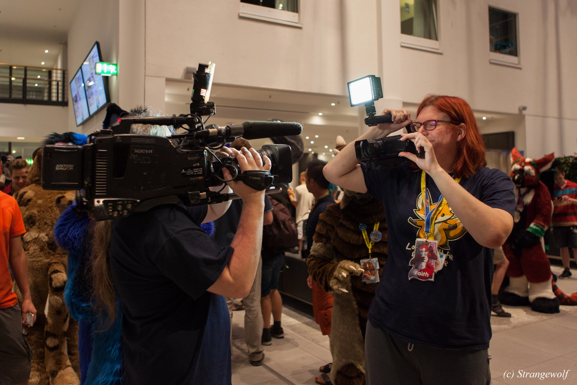 full image IMG_4839-lr19t.jpg