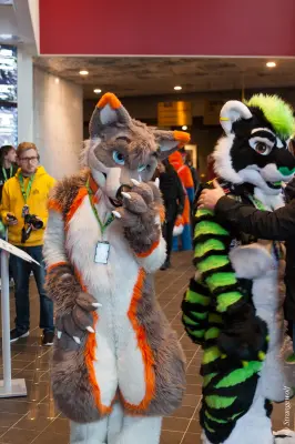 IMG_8560-lr19t.jpg of NFC/NFC2020/