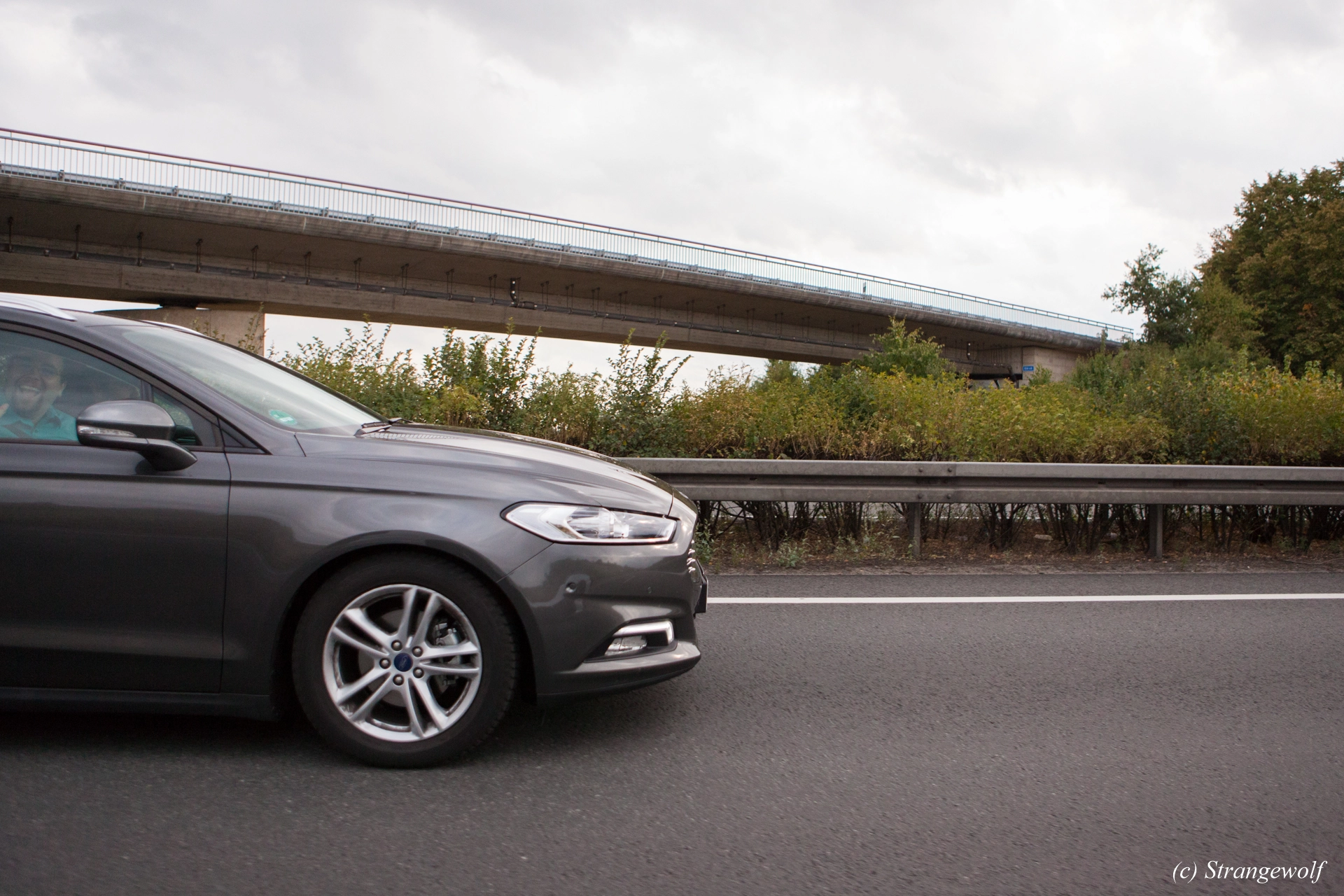 full image IMG_5504-lr19t.jpg