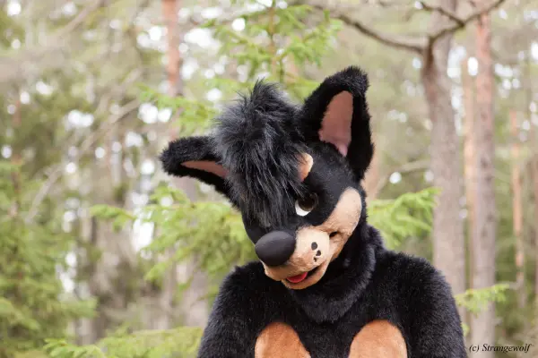 IMG_8656-lr19t.jpg of NFC/NFC2019/Shoot-Strife_Carlito/