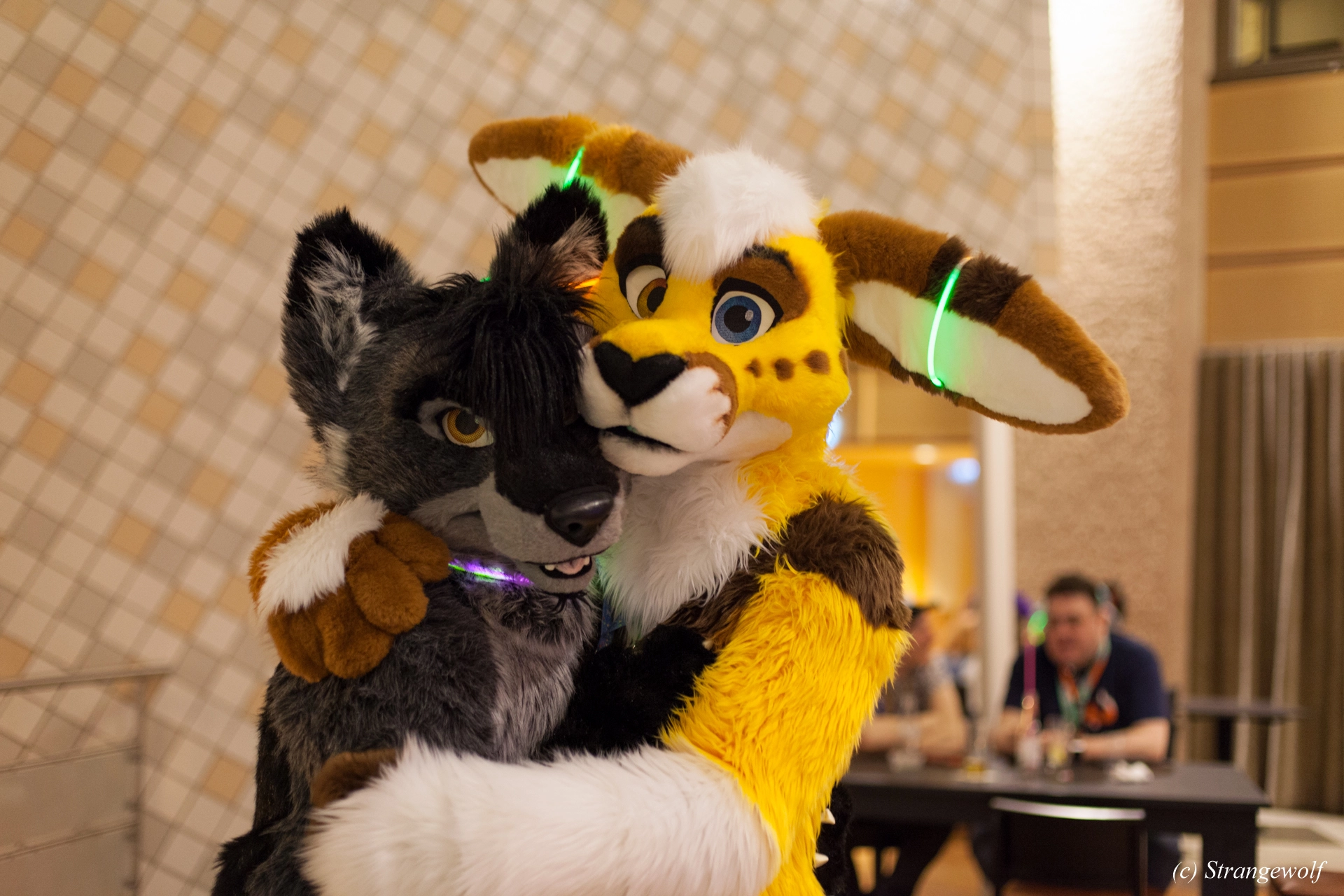 full image IMG_9859-lr19t.jpg