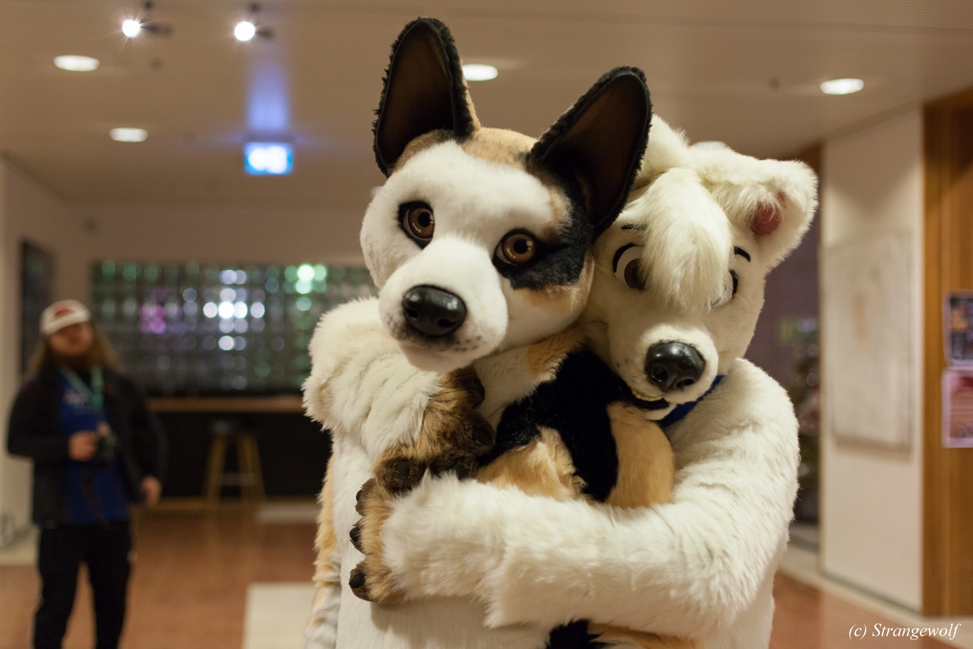 full image IMG_9174-lr19t.jpg