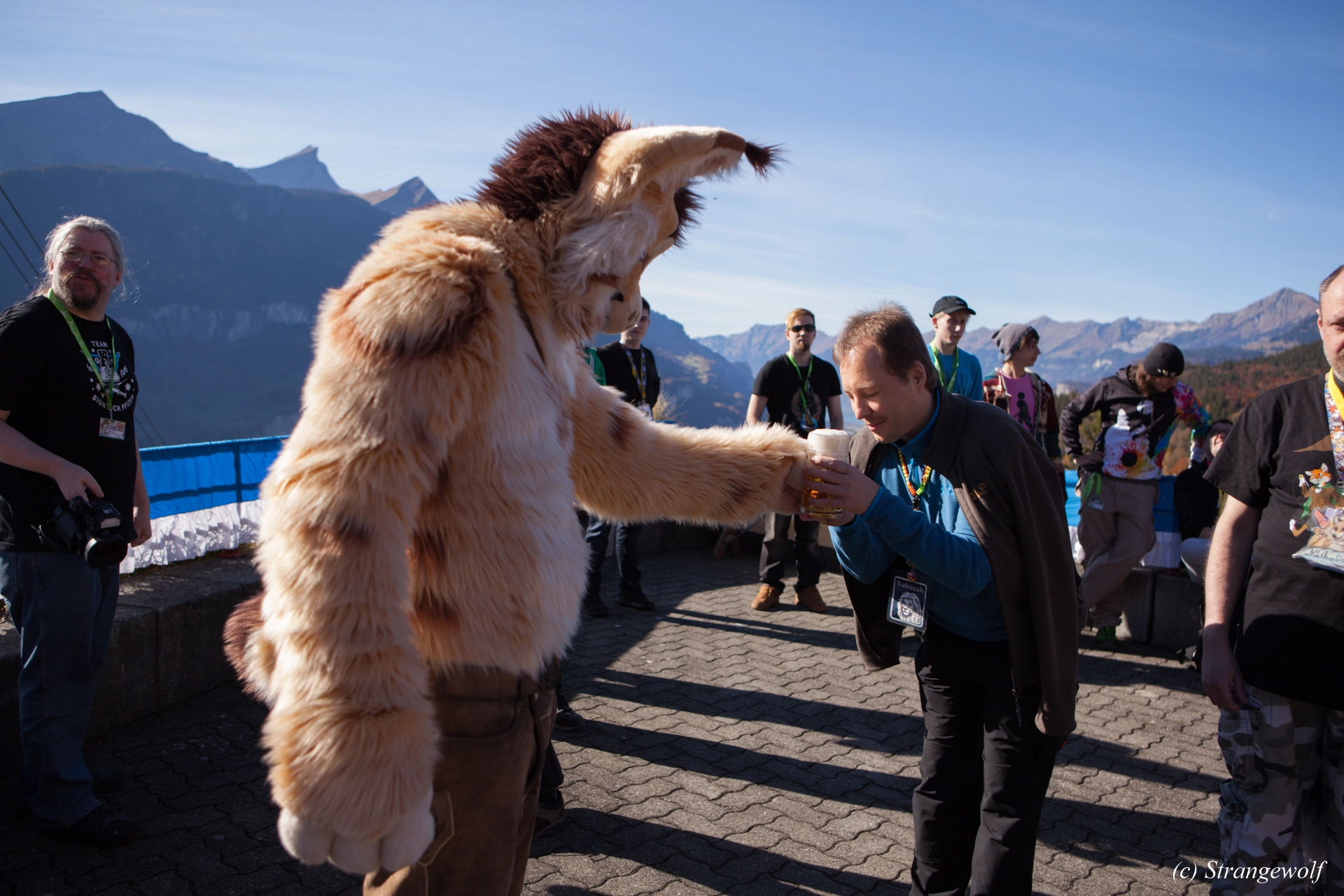 full image IMG_0539-lr19t.jpg