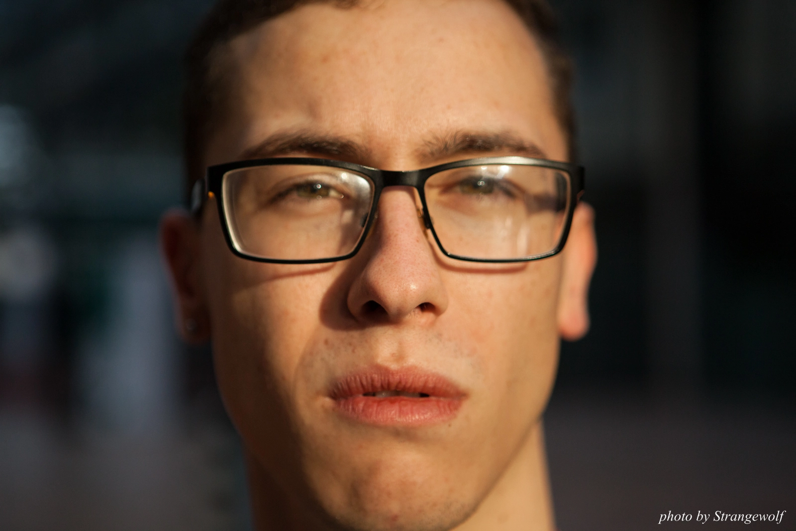 full image IMG_2176-lr16t.jpg