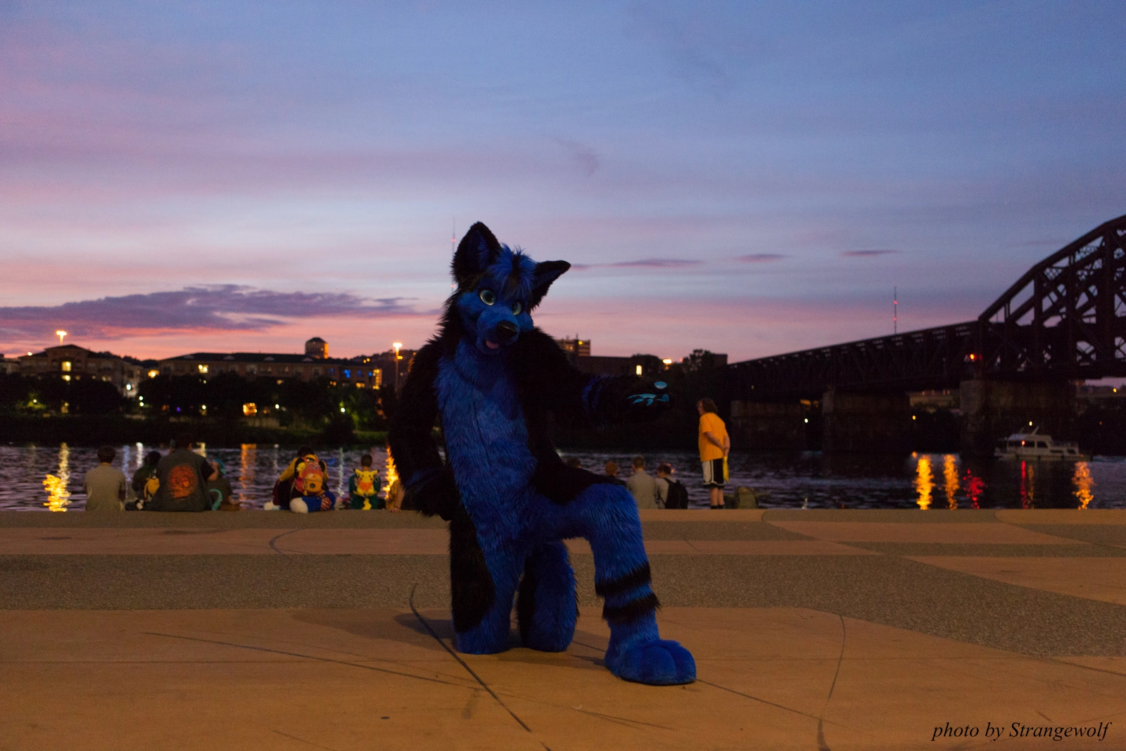 full image IMG_8406-lr16t.jpg