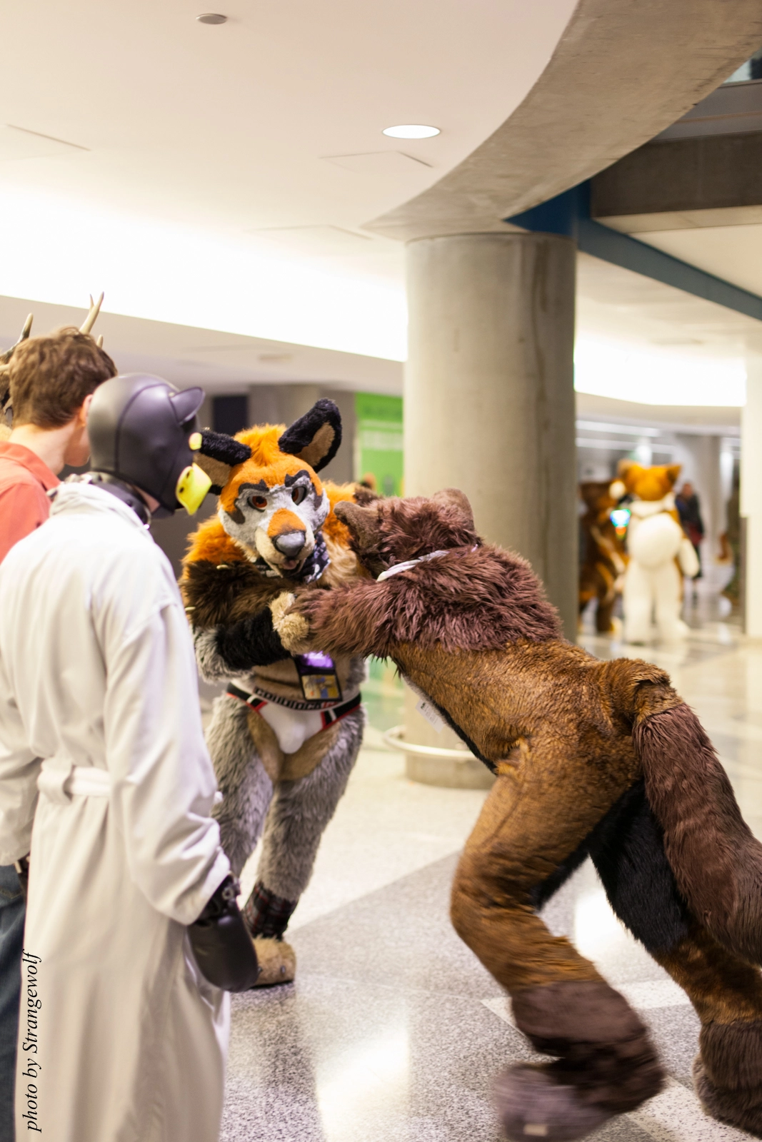 full image IMG_1190-lr16t.jpg