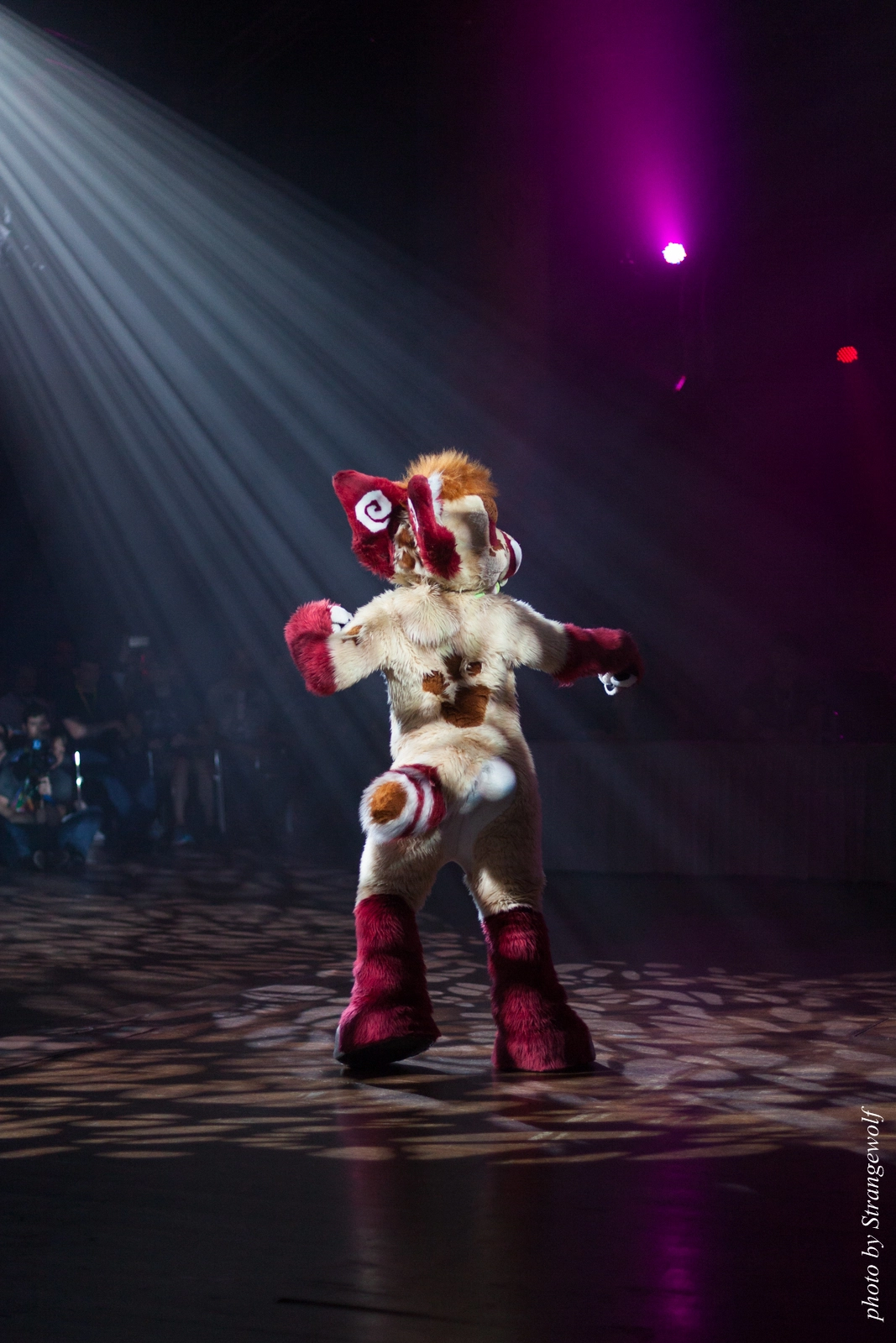 full image IMG_9078-lr16t.jpg