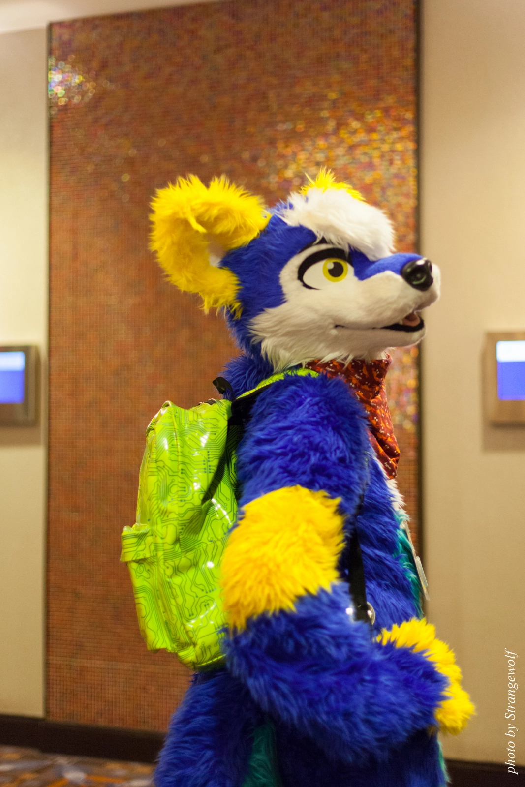 full image IMG_0871-lr16t.jpg