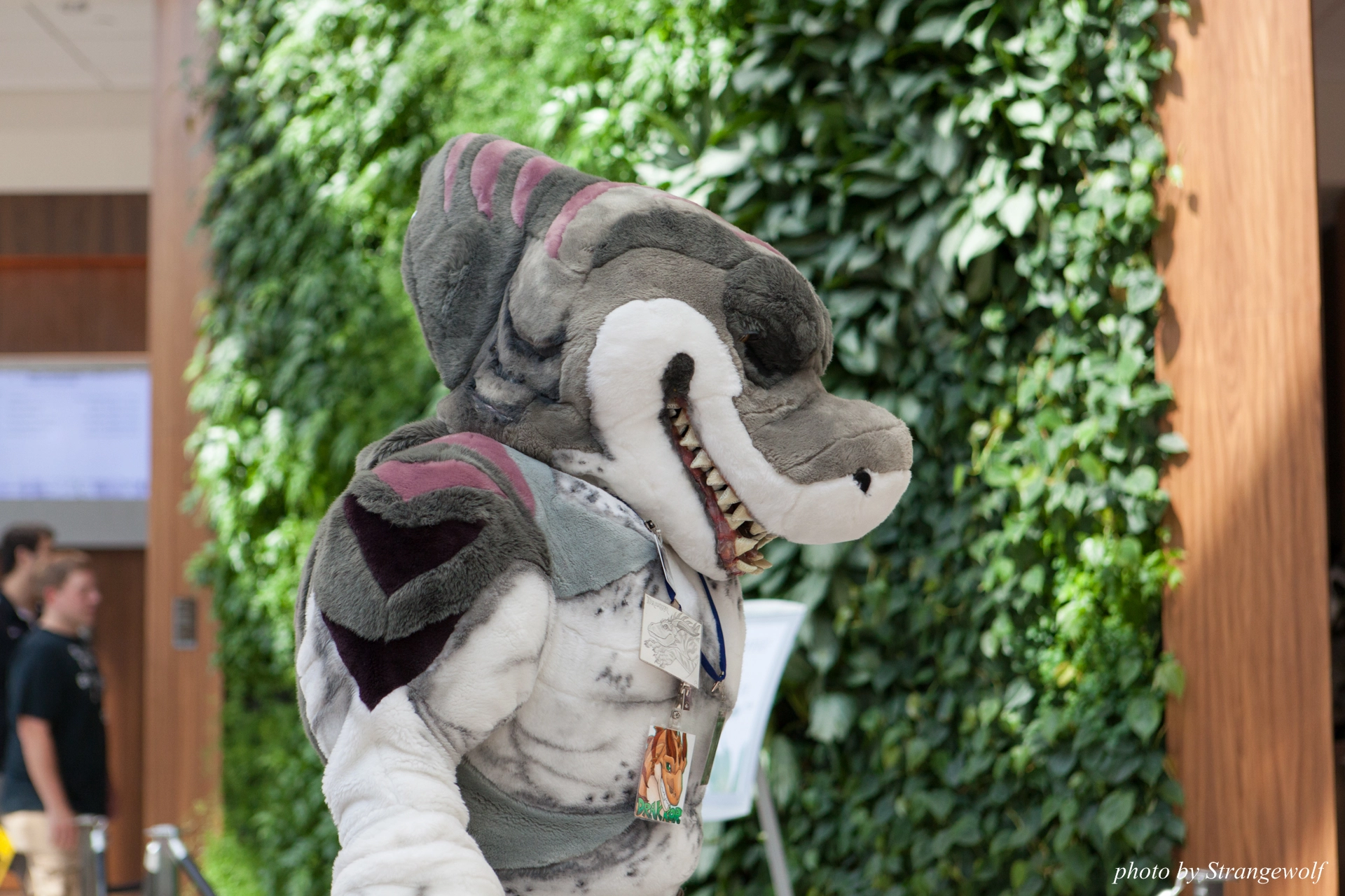 full image IMG_0381-lr19t.jpg