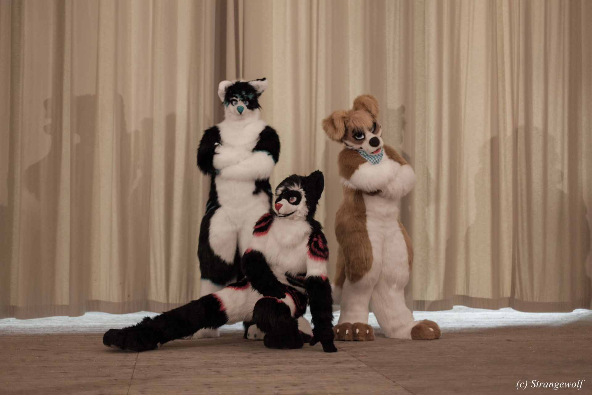 full image IMG_5797-lr19t.jpg