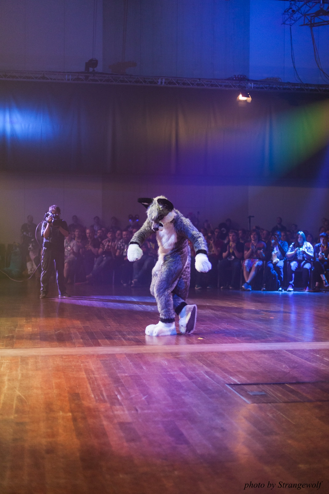 full image IMG_2938-lr16t.jpg