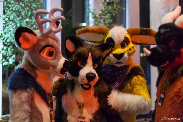 IMG_9408-lr19t.jpg of NFC/NFC2020/