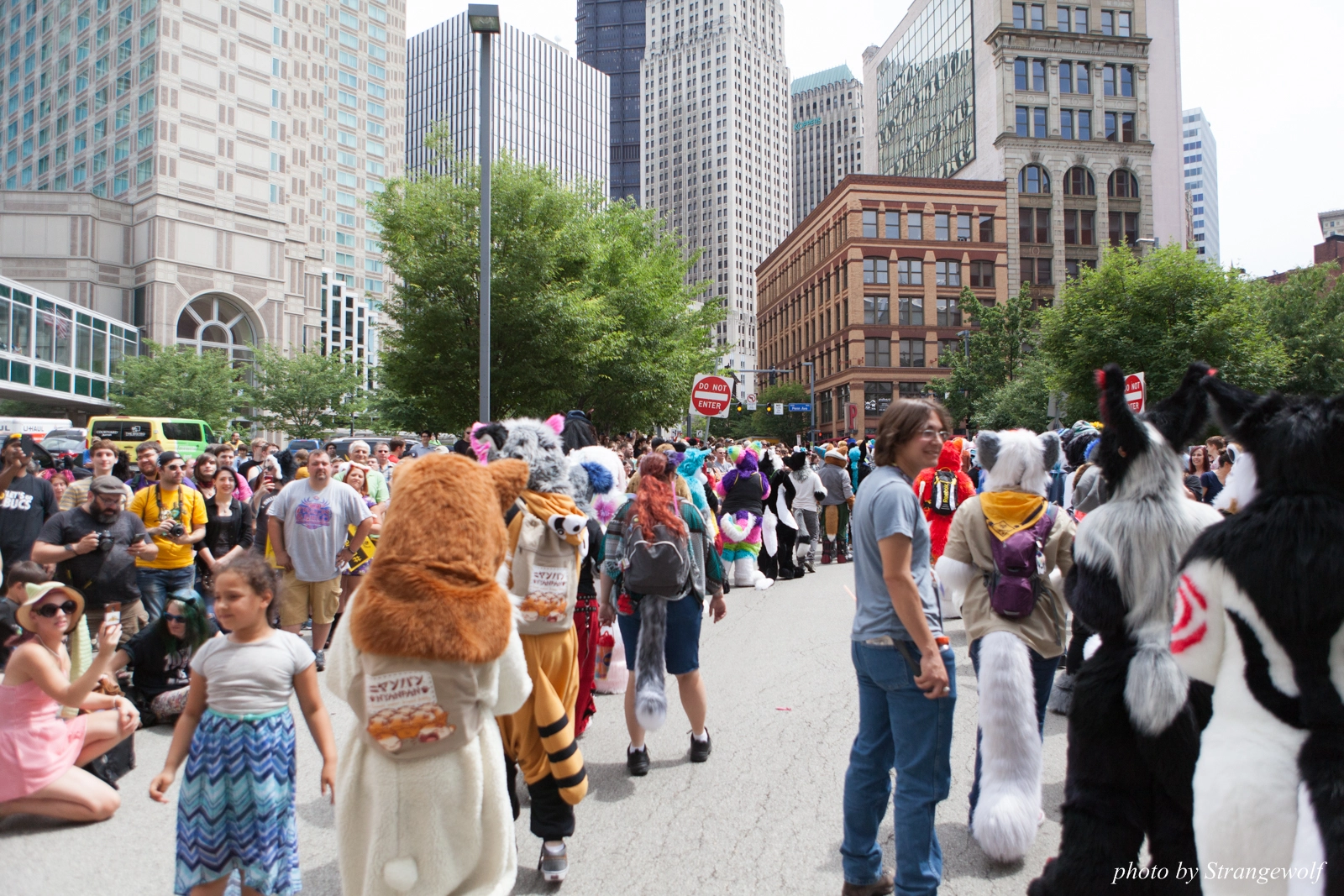 full image IMG_8050-lr16t.jpg