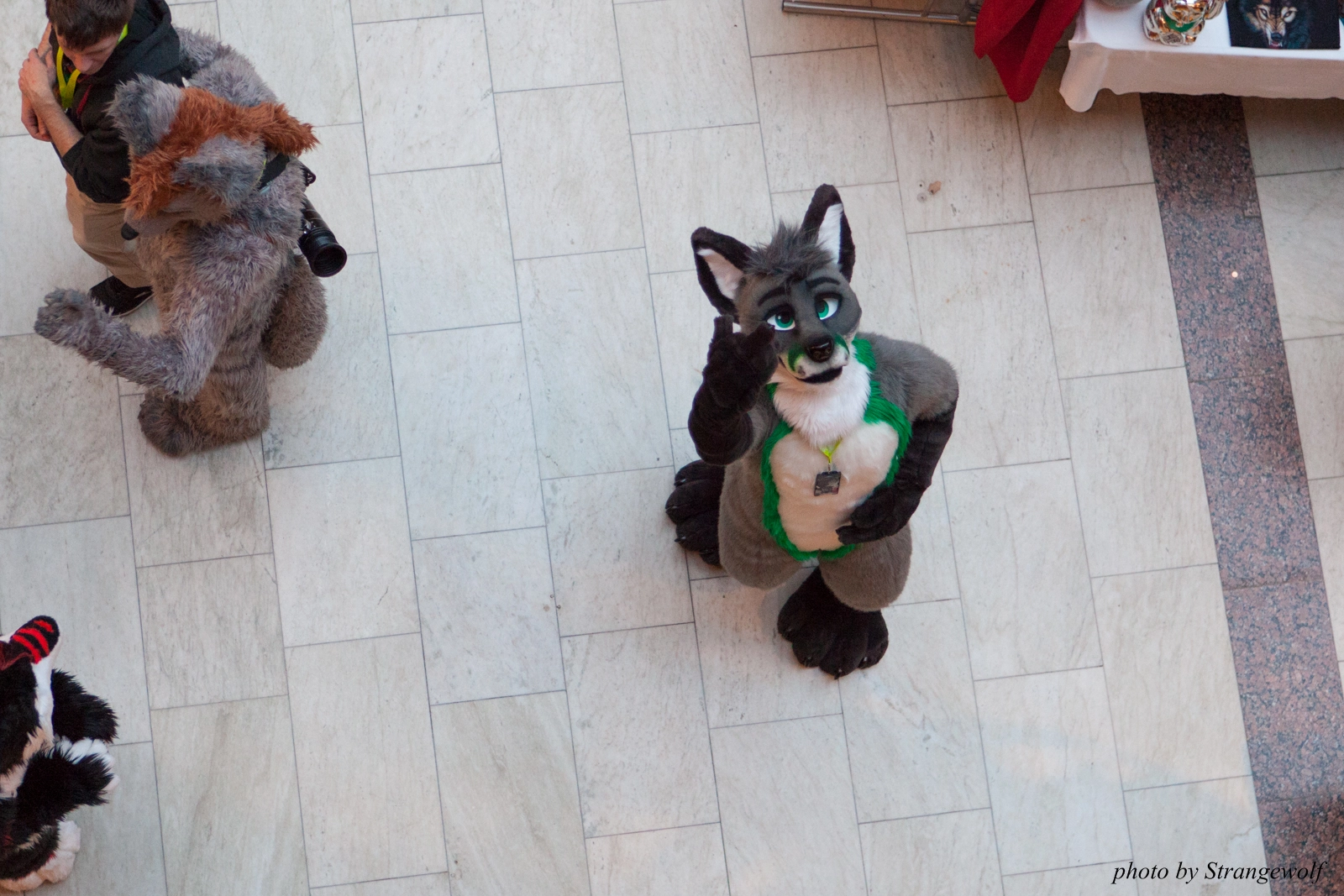 full image IMG_1529-lr16t.jpg