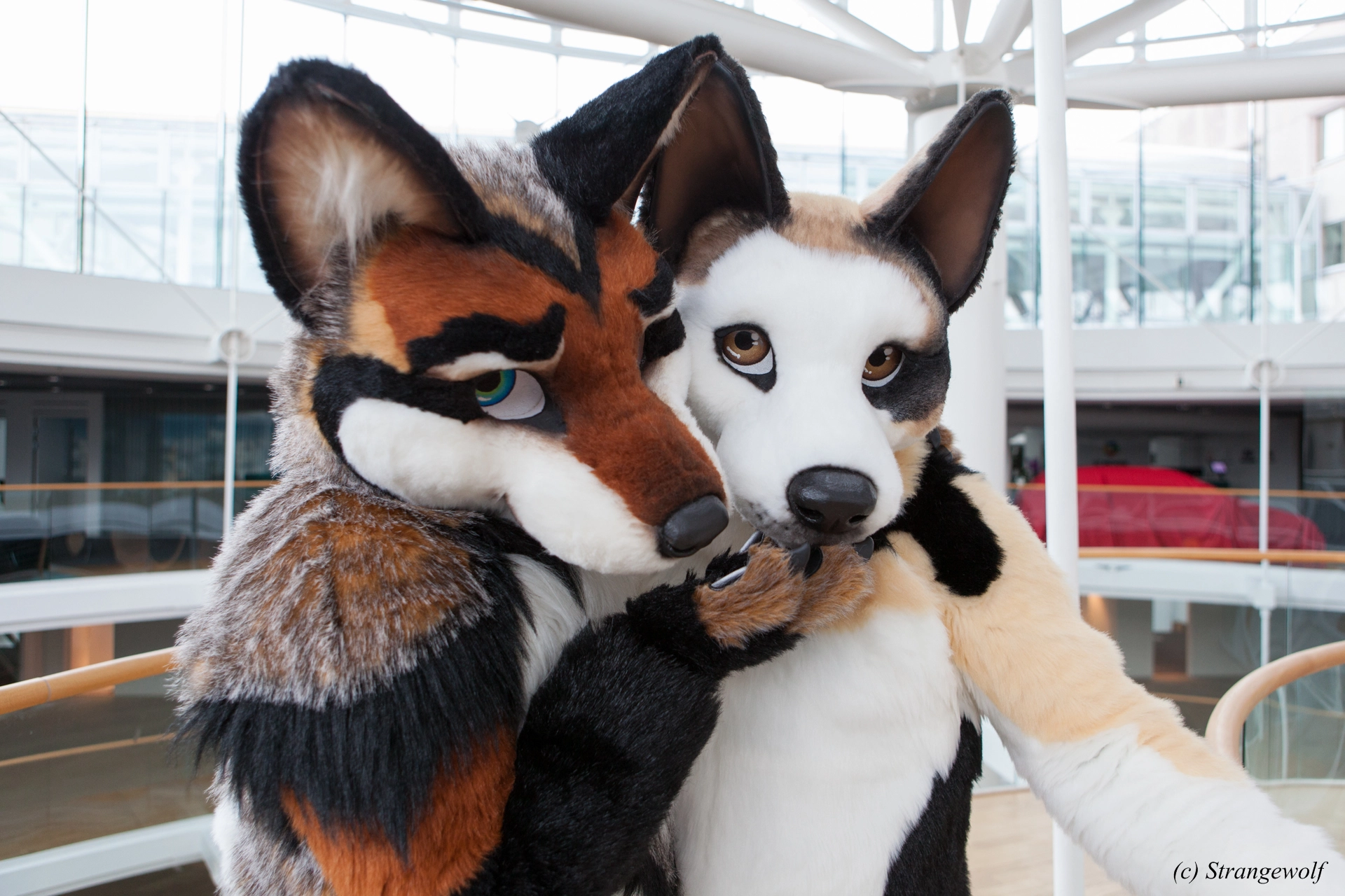 full image IMG_0513-lr19t.jpg