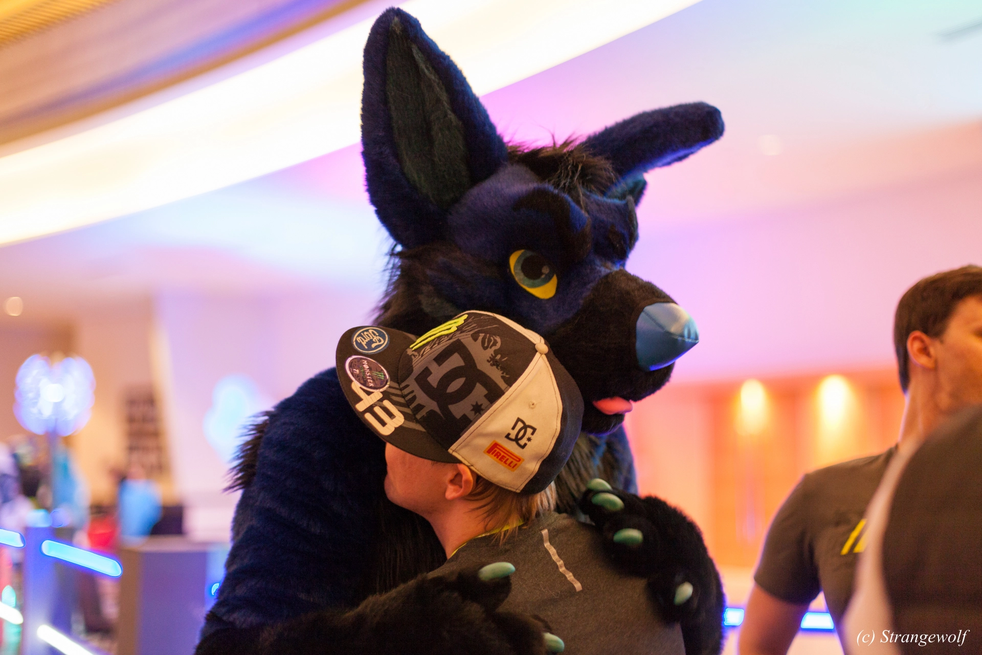 full image IMG_2012-lr19t.jpg