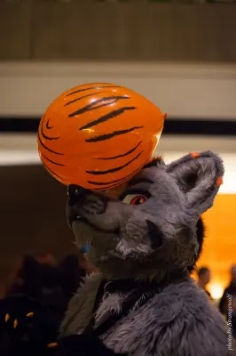 IMG_4122-lr16t.jpg of MFF/MFF2015/