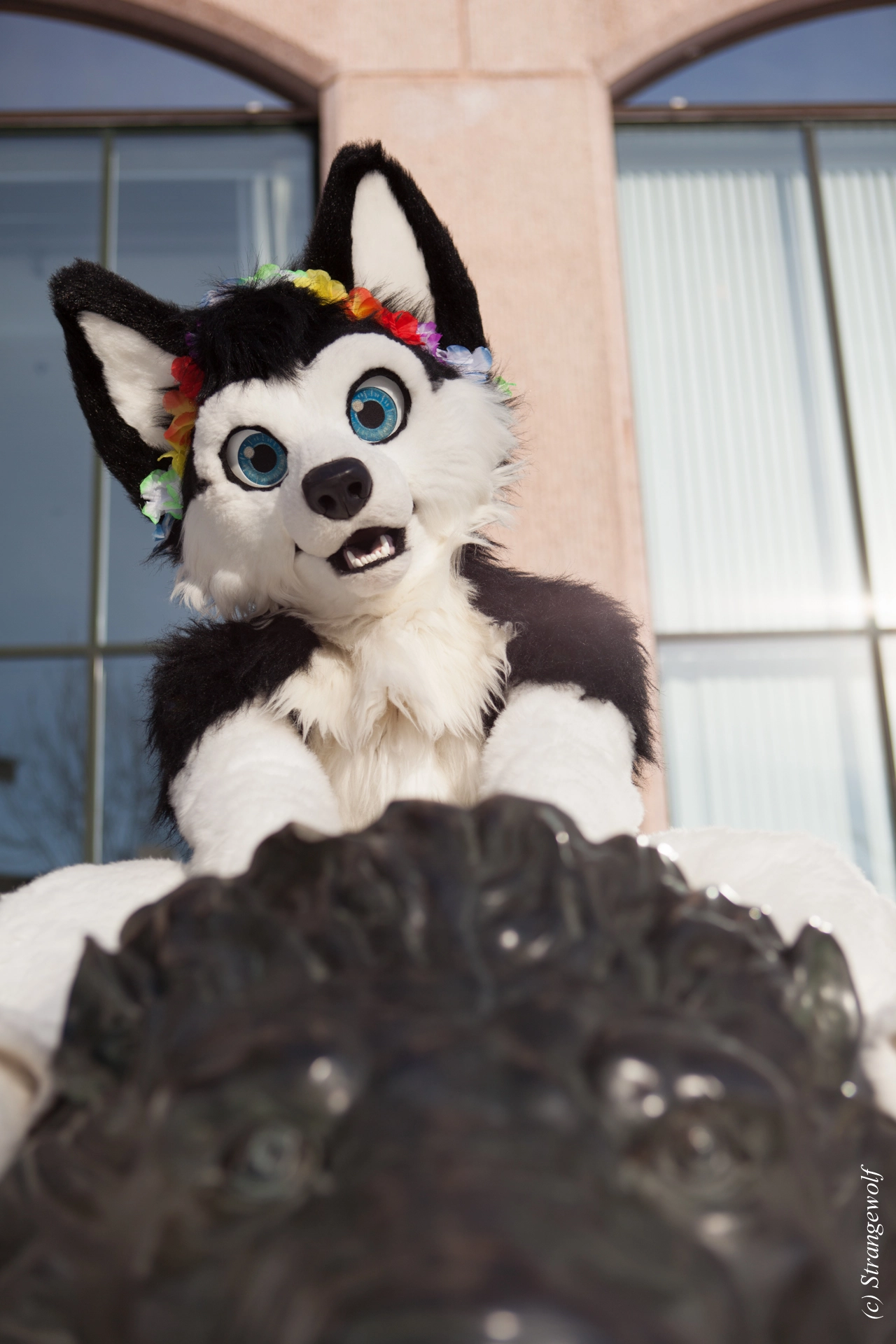 full image IMG_9784-lr19t.jpg