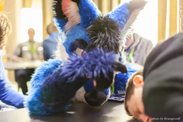 IMG_1559-lr16t.jpg of NFC/NFC2017/