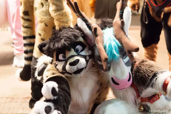 IMG_6889-lr19t.jpg of MFF/MFF2018/