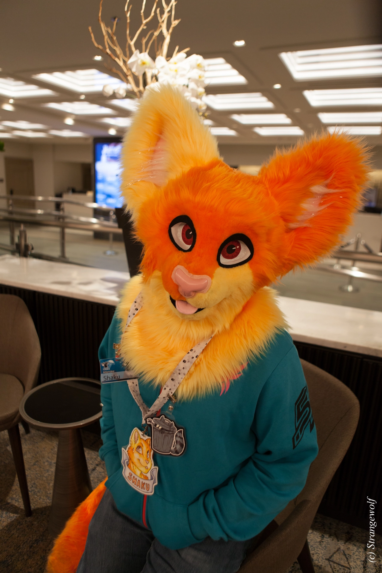 full image IMG_4594-lr19t.jpg